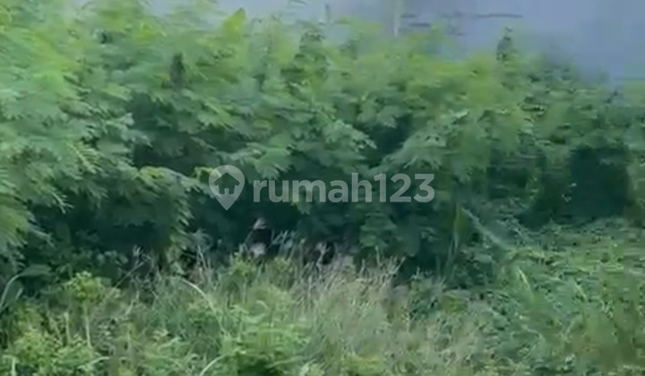 Land Plot for Sale in Green Garden, Size 12 x 25 Square, Ready to Build