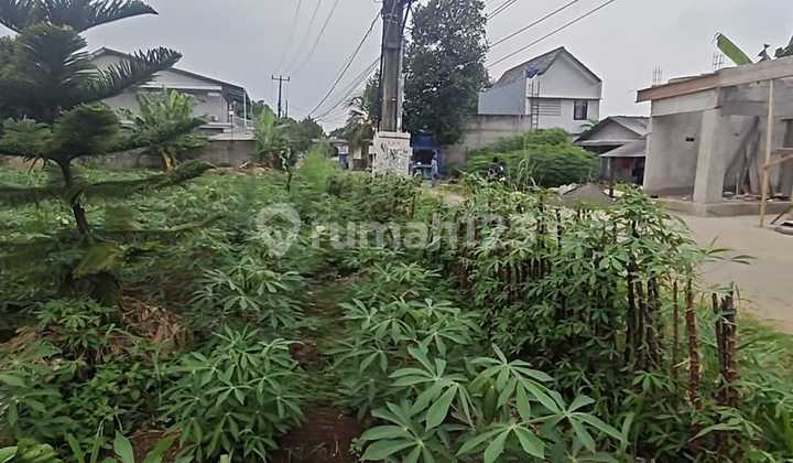 Tanah Padat Siap Bangun dengan Bentuk Bagus di Belakang Perumahan Trevista Cinangka Tanah Padat Siap Bangun dengan Bentuk Bagus di Belakang Perumahan Trevista Cinangka