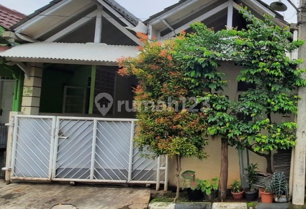Rumah 1 Lantai Depan Taman Dengan Luas Cukup Memadai Harga Ekonomis Rumah 1 Lantai Depan Taman Dengan Luas Cukup Memadai Harga Ekonomis