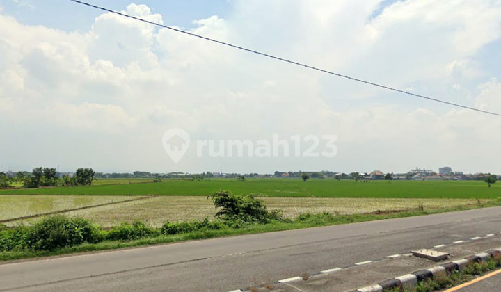 Lahan Lahan Komersial Ring Road Mojoagung Ijin Pergudangan luas 1900an Lahan Lahan Komersial Ring Road Mojoagung Ijin Pergudangan luas 1900an