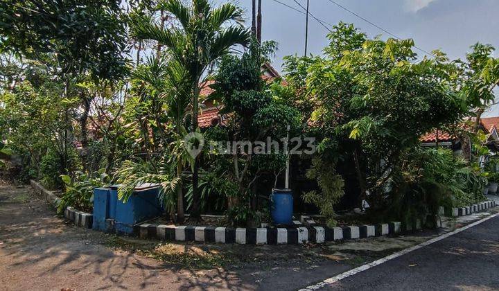 Hitung Tanah aja Rumah Rungkut Asri Harga Dijamin Termurah 1