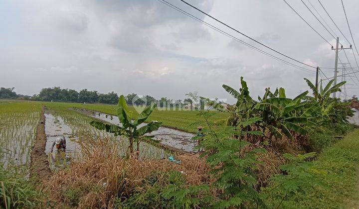 Tanah Industri Bulusari Carat Gempol, Sangat Cocok Untuk Pabrik 1