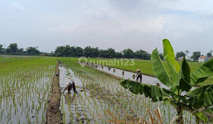 Tanah Industri Bulusari Carat Gempol, Sangat Cocok Untuk Pabrik 2