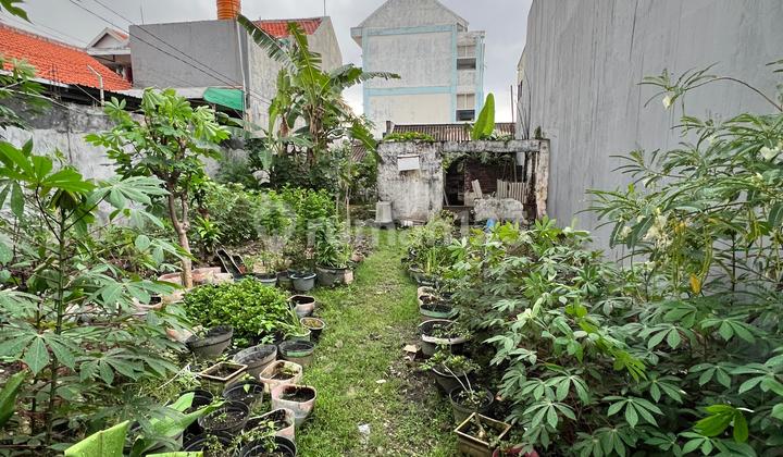 Jual Cepat Kavling Margorejo Tangsi cocok untuk Kost Rumah 1