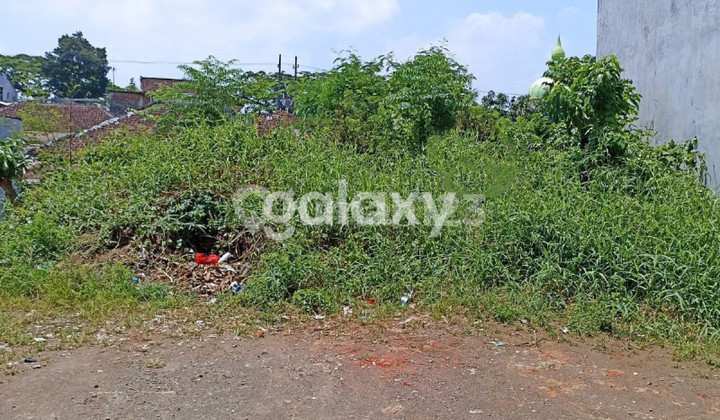 GMK01501 Riparian GMK01501 Riparian