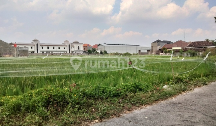 Kavling Ideal Untuk Bangun Rumah 100an Meter di Klodran Solo Kavling Ideal Untuk Bangun Rumah 100an Meter di Klodran Solo