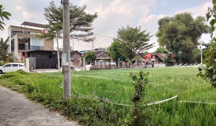 Tanah SHM Klodran, Hanya 4,5 Jt-an/m, Timur Tugu Boto Tanah SHM Klodran, Hanya 4,5 Jt-an/m, Timur Tugu Boto