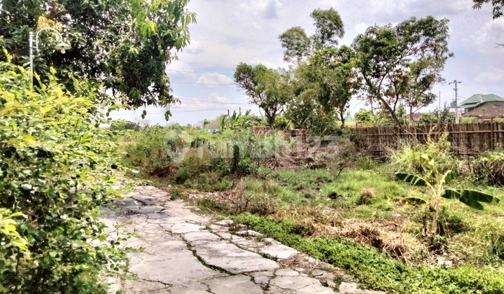 Grogol Plot 10 Minutes to Alkid Kraton Surakarta 2.8M/m