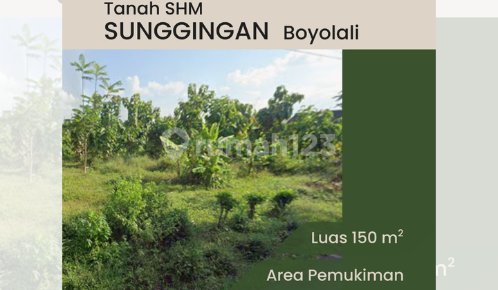 Tanah SHM 150an Meter Sunggingan Boyolali, Dekat ke Simpang Siaga