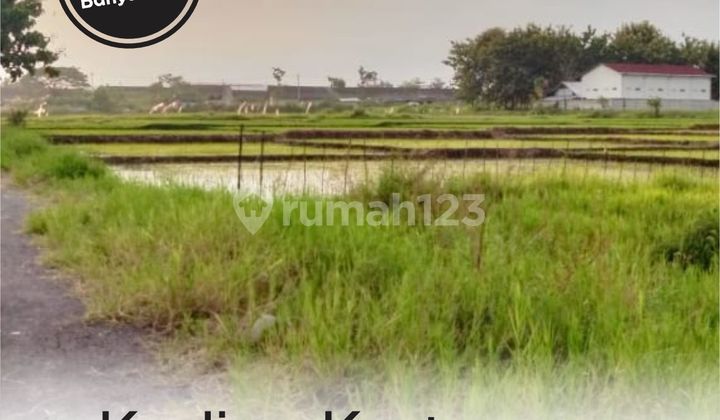 Tanah SHM View Sawah dan Gunung di Kartasura 3,6Jutaan/m Tanah SHM View Sawah dan Gunung di Kartasura 3,6Jutaan/m