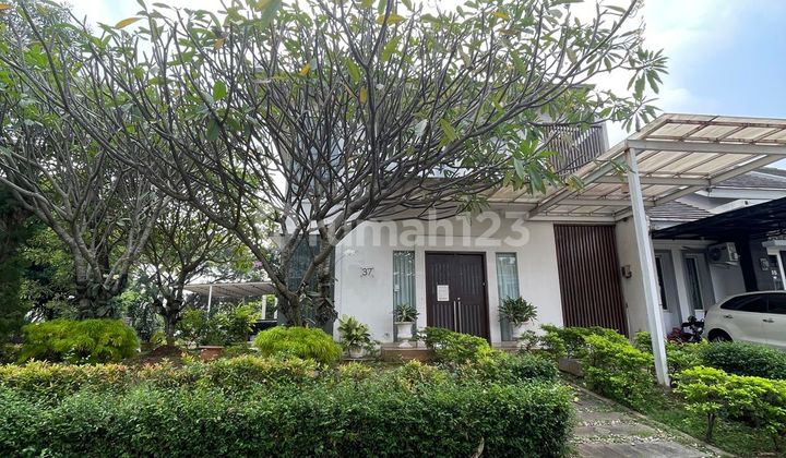 Sutera Feronia Alam Sutera