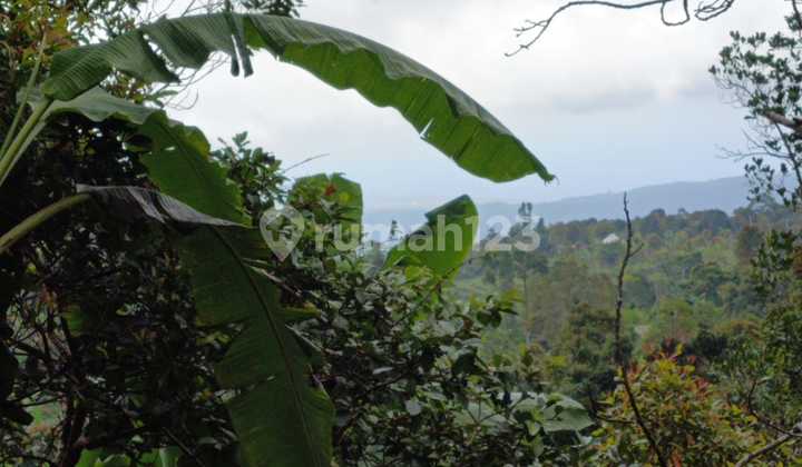 Gesing's Elevated Paradise, A 100-Are Sanctuary Overlooking Valleys and Mountains