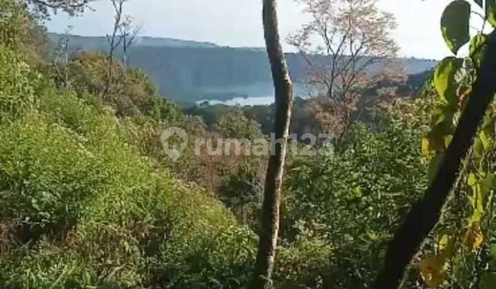 Peluang Investasi Sempurna di Bukit Pucuk, Munduk, Kabupaten Buleleng Bali Peluang Investasi Sempurna di Bukit Pucuk, Munduk, Kabupaten Buleleng Bali