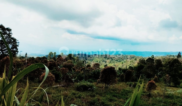 Gessing - Bedugul Harmony 1.43 Hectares Framed by Mountains, River & Sunset