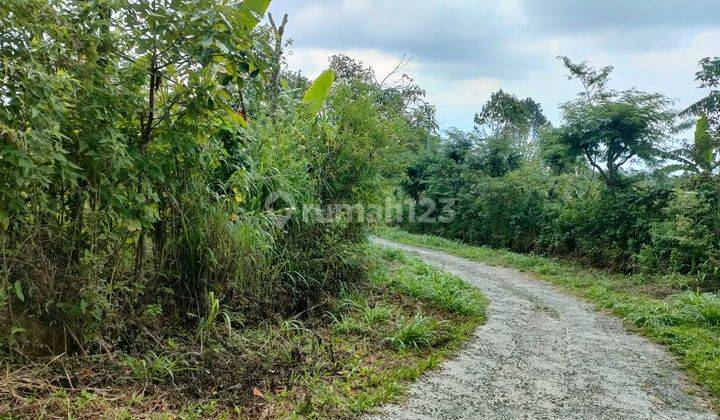 Investment Opportunity Freehold Plot Of Land With Unobstructed Views In Gessing Bedugul, Bali Island. 2