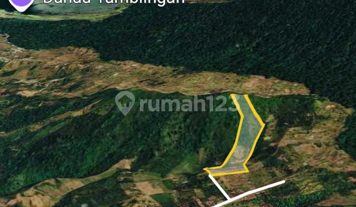 Peluang Investasi Sempurna di Bukit Pucuk, Munduk, Kabupaten Buleleng Bali Peluang Investasi Sempurna di Bukit Pucuk, Munduk, Kabupaten Buleleng Bali