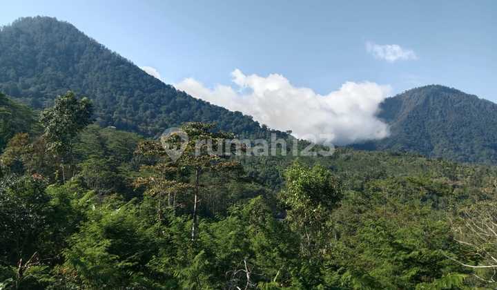 Dijual: 2,15 Hektar Tanah Strategis di Gesing – Bedugul, Bali