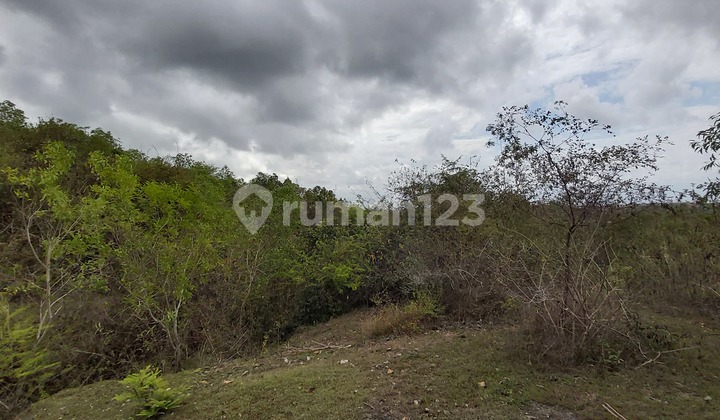 Freehold Plot of Land Ideal for Private Villa in Dharmawangsa Jimbaran 5