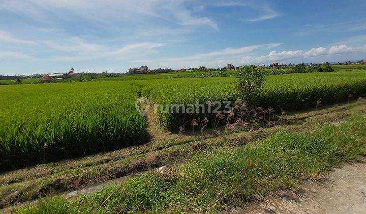 Business Opportunity Seseh Badung Close To Cemagi Beach 4
