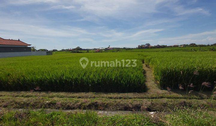 Business Opportunity Seseh Badung Close To Cemagi Beach 8
