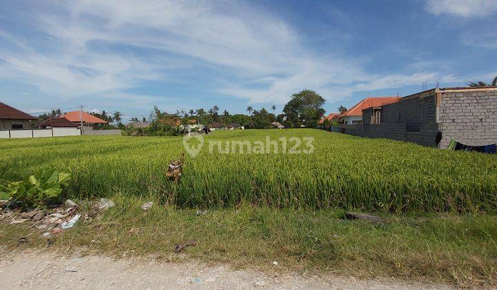 Business Opportunity Seseh Badung Close To Cemagi Beach 9