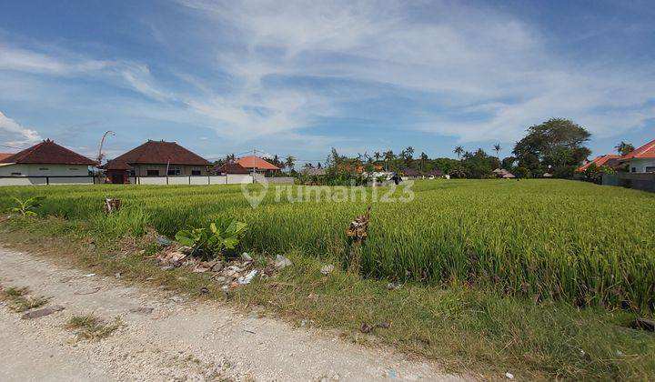 Business Opportunity Seseh Badung Close To Cemagi Beach 10