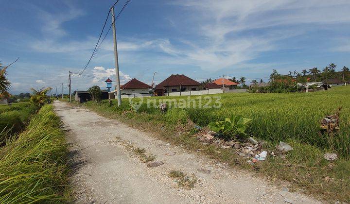 Business Opportunity Seseh Badung Close To Cemagi Beach 11