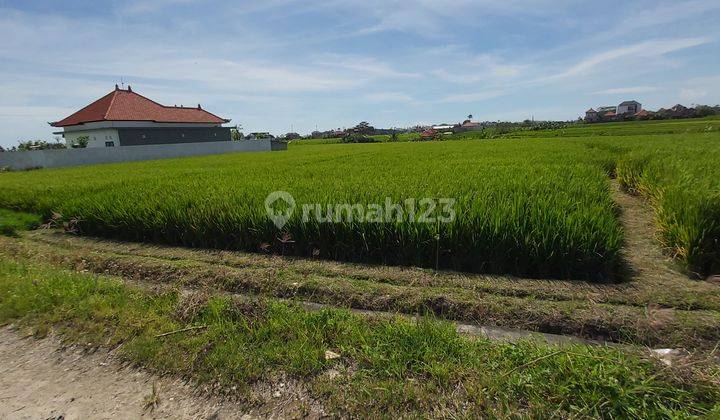 Business Opportunity Seseh Badung Close To Cemagi Beach 13