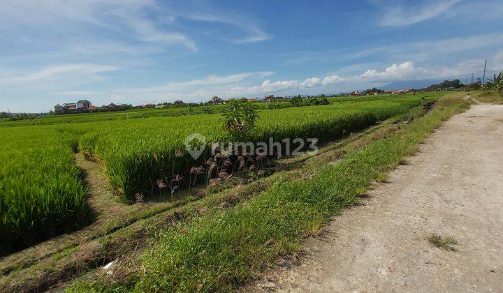 Business Opportunity Seseh Badung Close To Cemagi Beach 15