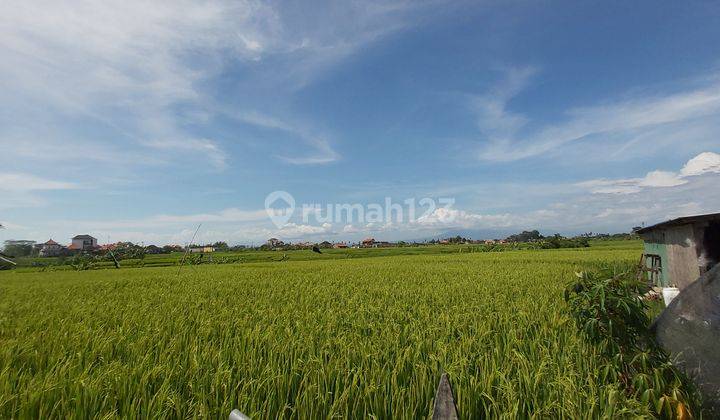 Business Opportunity Seseh Beach Badung Close To Cemagi Or Pererenan Area 2