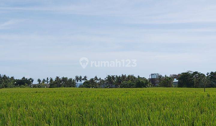 Business Opportunity Seseh Beach Badung Close To Cemagi Or Pererenan Area 5