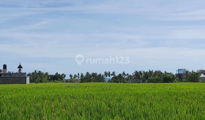Business Opportunity Seseh Beach Badung Close To Cemagi Or Pererenan Area 1
