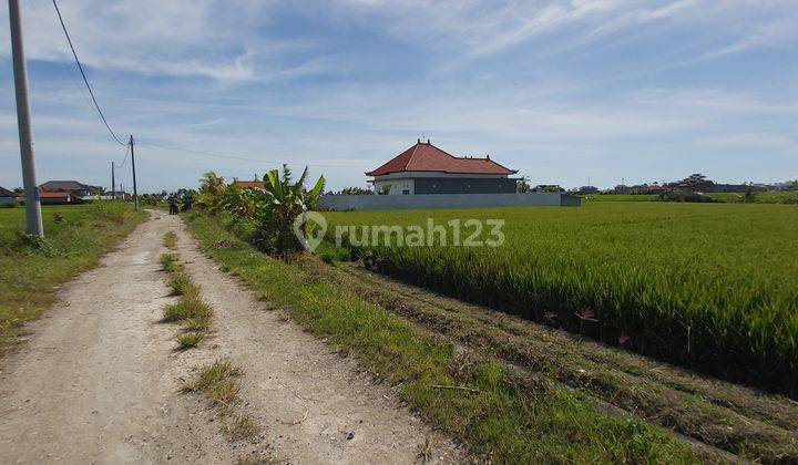 Ocean And Rice Fields View Seseh Beach Badung Close To Cemagi And Pererenan Area 1