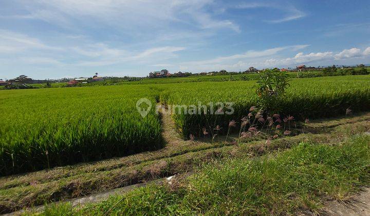 Ocean And Rice Fields View Seseh Beach Badung Close To Cemagi And Pererenan Area 4