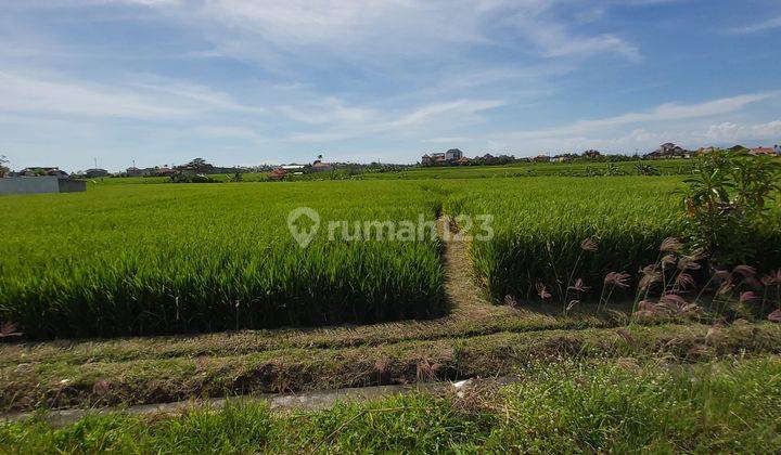 Ocean And Rice Fields View Seseh Beach Badung Close To Cemagi And Pererenan Area 5