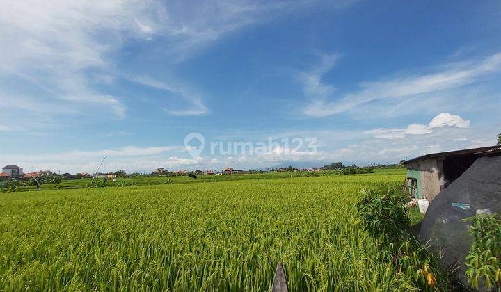 Ocean And Rice Fields View Seseh Beach Badung Close To Cemagi And Pererenan Area 12