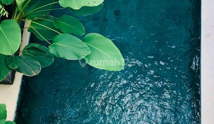 Full Equipment House Close To Seminyak And Canggu Area 47