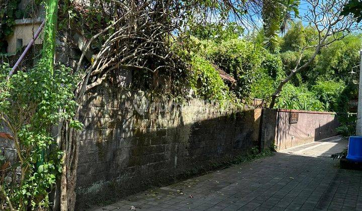 Freehold Land Central Ubud Perfectly Suitable For Commercial Property  2