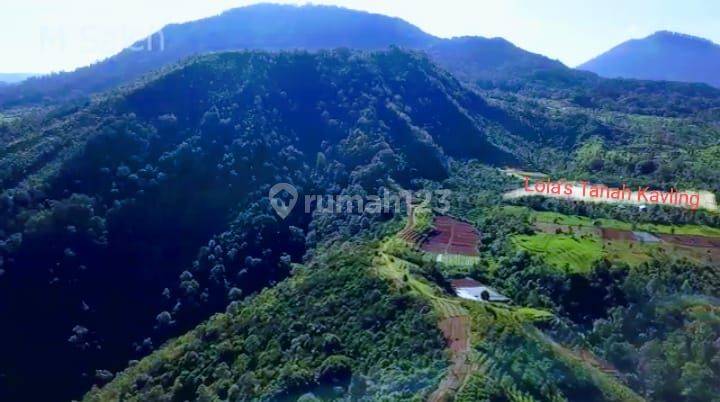 Buleleng Hilltop Beautiful Mountain Views Ideal For Commercial Property 1
