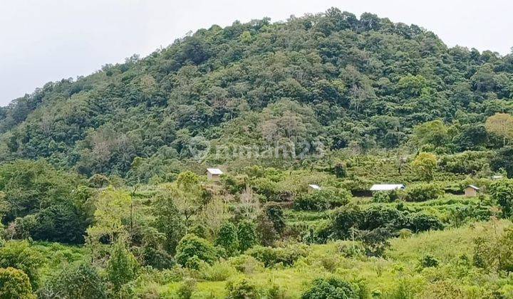 Absolutely Stunning Buleleng Hilltop Beautiful Sunrise, Lake, Jungle, Mountain And Ocean Views 2