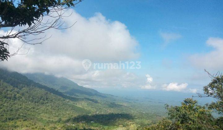 Absolutely Stunning Buleleng Hilltop Beautiful Sunrise, Lake, Jungle, Mountain And Ocean Views 1
