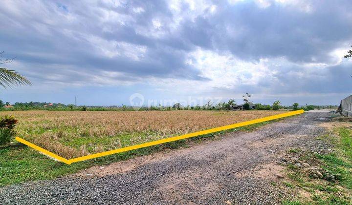 Freehold Land In Walking Distance Kelanting Beach Tabanan Bali Business Purposes Perfect For Villa Development 1