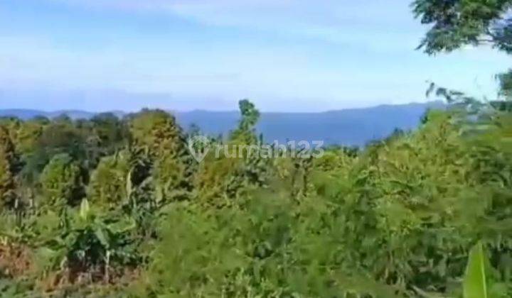 Beautiful Buyan Lake View Pancasari Perfect For Investment  2