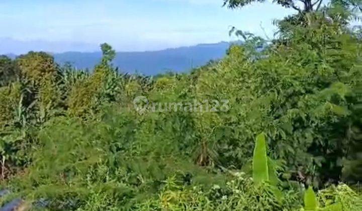 Beautiful Buyan Lake View Pancasari Perfect For Investment  2