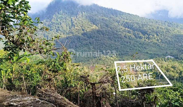 Amazing Mountain And Sunset View Freehold Land Investment In Gesing Buleleng Regency  2