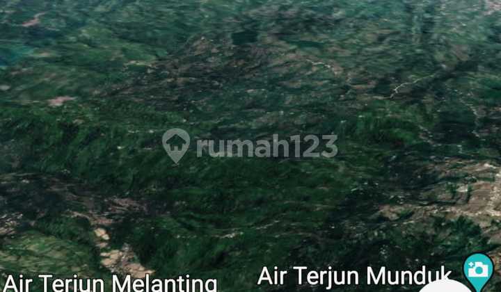 Good Investment Bedugul Munduk With Amazing View Close To Munduk Cabins 1