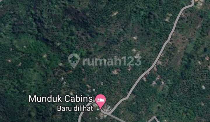 Good Investment Bedugul Munduk With Amazing View Close To Munduk Cabins 2