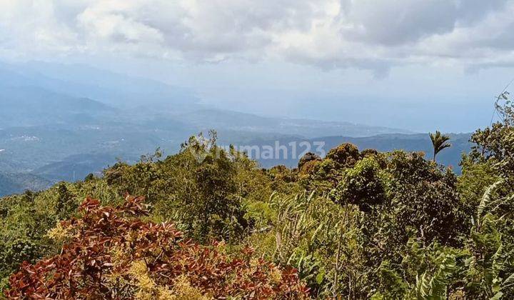 Fantastic View of Batukaru and Sanghyang Mountain Freehold Land Perfect for Villa Development  1