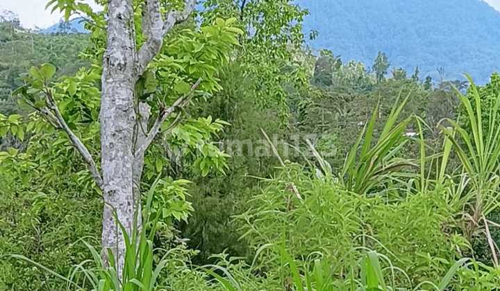 Elevated Paradise in Gesing – Bedugul: Valley, Mountain & Ocean Views Available 65–150 ARE Freehold Land 1