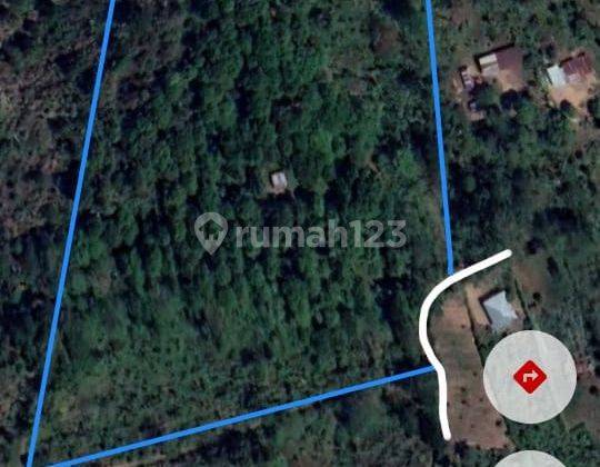 Real Estate Investment Munduk Buleleng Hilltop , Ideal for Commercial Property It is ideal for a villa complex or commercial property.  2